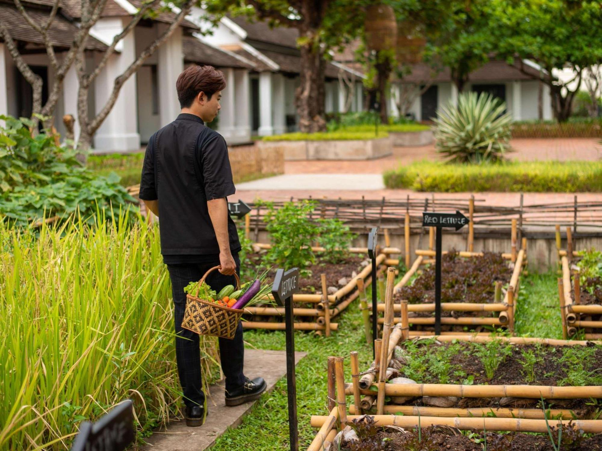 Sofitel Luang Prabang Hotel Kültér fotó
